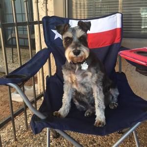 Meet your Posher, Jana